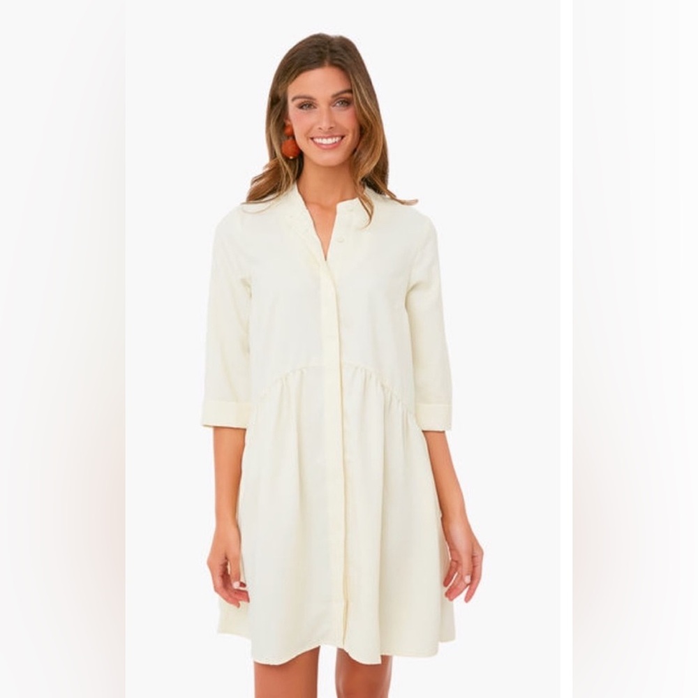 Tuckernuck Royal Shirt Dress